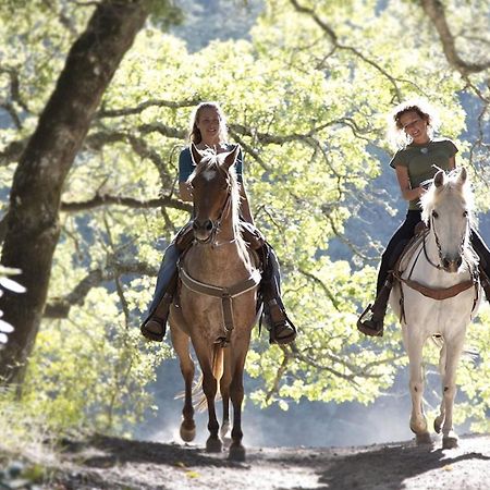 Il Vecchio Mulino Toscana Radicondoli Eksteriør billede
